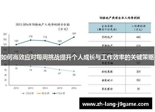 如何高效应对每周挑战提升个人成长与工作效率的关键策略