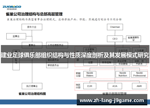 建业足球俱乐部组织结构与性质深度剖析及其发展模式研究