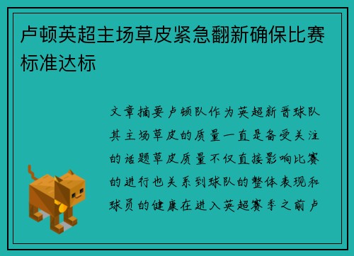 卢顿英超主场草皮紧急翻新确保比赛标准达标 卢顿英超主场草皮紧急翻新确保比赛标准达标